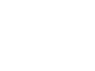 SDII_logo_1clr_white